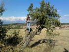 Highslide JS