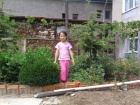 Highslide JS